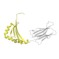 The deposited structure of PDB entry 3l6f contains 1 copy of CATH domain 3.10.320.10 (Class II Histocompatibility Antigen, M Beta Chain; Chain B, domain 1) in HLA class II histocompatibility antigen, DRB1 beta chain. Showing 1 copy in chain B.