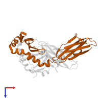 HLA class II histocompatibility antigen, DRB1 beta chain in PDB entry 3l6f, assembly 1, top view.