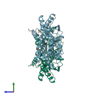 PDB entry 3l6u coloured by chain, side view.