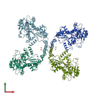 PDB entry 3l7l coloured by chain, front view.