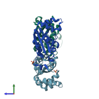 PDB entry 3l7u coloured by chain, side view.