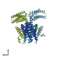 PDB entry 3l8i coloured by chain, side view.