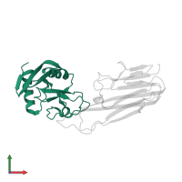Tetranectin in PDB entry 3l9j, assembly 1, front view.