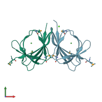 PDB entry 3lag coloured by chain, front view.
