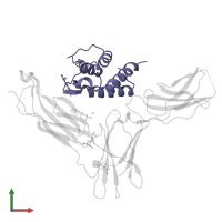 Interleukin-13 in PDB entry 3lb6, assembly 2, front view.