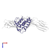 Interleukin-13 in PDB entry 3lb6, assembly 2, top view.