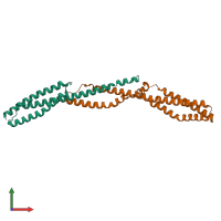 PDB entry 3lbx coloured by chain, front view.