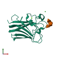 PDB entry 3lek coloured by chain, front view.