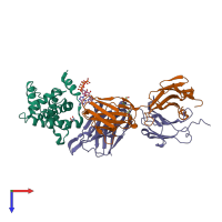 PDB entry 3lev coloured by chain, top view.