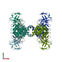 PDB entry 3lga coloured by chain, front view.