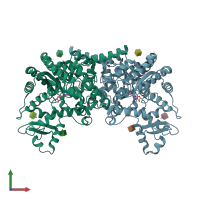 PDB entry 3lgg coloured by chain, front view.