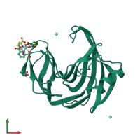 PDB entry 3lgr coloured by chain, front view.