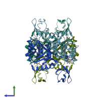 PDB entry 3lhd coloured by chain, side view.