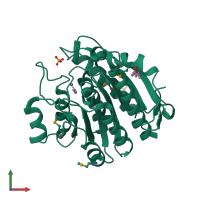 PDB entry 3lhl coloured by chain, front view.