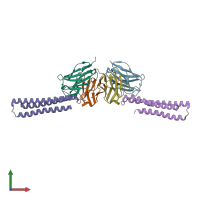 PDB entry 3lhp coloured by chain, front view.