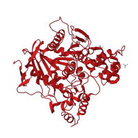 The deposited structure of PDB entry 3lii contains 2 copies of CATH domain 3.40.50.1820 (Rossmann fold) in Acetylcholinesterase. Showing 1 copy in chain A.