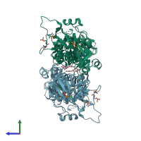 PDB entry 3lj0 coloured by chain, side view.