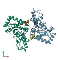 PDB entry 3lj9 coloured by chain, front view.