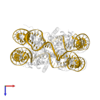 147mer DNA in PDB entry 3lja, assembly 1, top view.