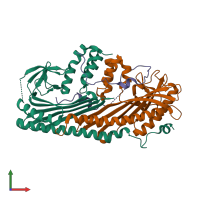 PDB entry 3lk3 coloured by chain, front view.