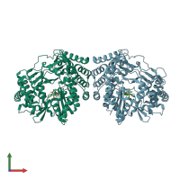 PDB entry 3lkh coloured by chain, front view.