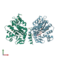 PDB entry 3lki coloured by chain, front view.