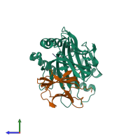 PDB entry 3lkp coloured by chain, side view.