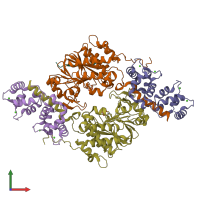 PDB entry 3ll8 coloured by chain, front view.