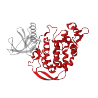 The deposited structure of PDB entry 3llt contains 1 copy of CATH domain 1.10.510.10 (Transferase(Phosphotransferase); domain 1) in Protein kinase domain-containing protein. Showing 1 copy in chain A.