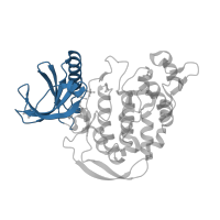 The deposited structure of PDB entry 3llt contains 1 copy of CATH domain 3.30.200.20 (Phosphorylase Kinase; domain 1) in Protein kinase domain-containing protein. Showing 1 copy in chain A.