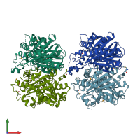 PDB entry 3lma coloured by chain, front view.