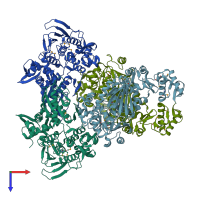 PDB entry 3lmm coloured by chain, top view.