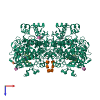 Homo dimeric assembly 1 of PDB entry 3ln0 coloured by chemically distinct molecules, top view.