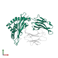 HLA class I histocompatibility antigen, B alpha chain in PDB entry 3ln4, assembly 1, front view.