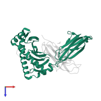 HLA class I histocompatibility antigen, B alpha chain in PDB entry 3ln4, assembly 1, top view.