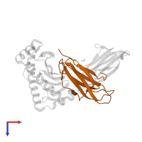 Beta-2-microglobulin in PDB entry 3ln4, assembly 1, top view.