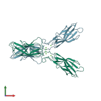 PDB entry 3lni coloured by chain, front view.