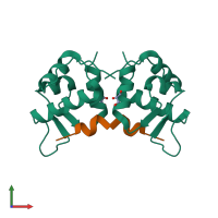 Hetero tetrameric assembly 2 of PDB entry 3lnj coloured by chemically distinct molecules, front view.