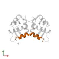 D-peptide inhibitor in PDB entry 3lnj, assembly 1, front view.