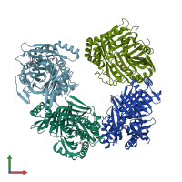 PDB entry 3log coloured by chain, front view.