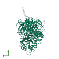 Isomaltase in PDB entry 3lpo, assembly 1, side view.