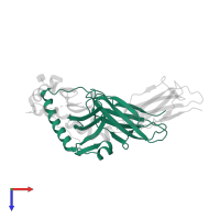 HLA class II histocompatibility antigen, DP alpha 1 chain in PDB entry 3lqz, assembly 1, top view.