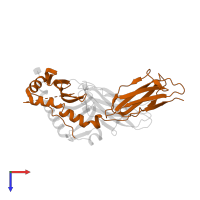 HLA class II histocompatibility antigen, DP beta 1 chain in PDB entry 3lqz, assembly 1, top view.