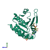 PDB entry 3lrp coloured by chain, side view.