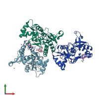PDB entry 3lsf coloured by chain, front view.