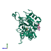 PDB entry 3lsw coloured by chain, side view.