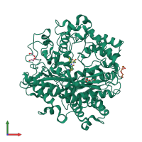PDB entry 3lvw coloured by chain, front view.