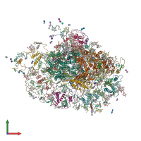 PDB entry 3lw5 coloured by chain, front view.