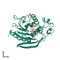 PDB entry 3lw6 coloured by chain, front view.