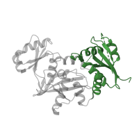 The deposited structure of PDB entry 3lwb contains 2 copies of CATH domain 3.40.50.20 (Rossmann fold) in D-alanine--D-alanine ligase. Showing 1 copy in chain A.